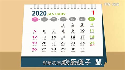 明年是什么龙年|2024年什么年 2024年什么年属什么年